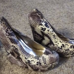 Snake skin booties